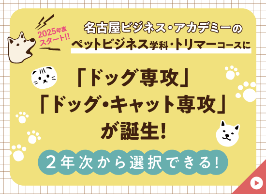 トリマーコース
