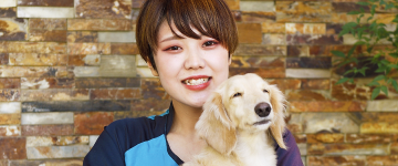ペット分野の仕事