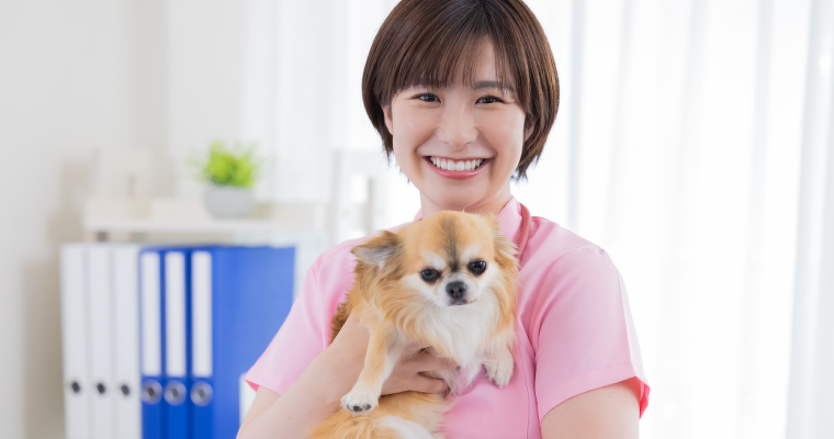 愛玩動物看護師