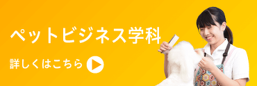 ペットビジネス学科 詳しくはこちら