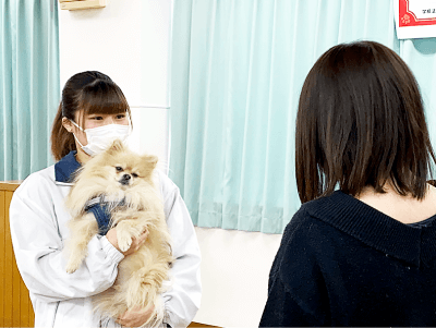 トリミング ペット接客 しつけ相談コンテスト 全国大会