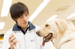 家庭犬トレーニング実習