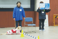 盲導犬訓練士