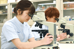 動物臨床検査学実習