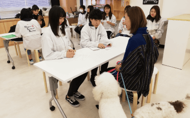 しつけ教室