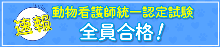 動物看護師統一認定試験全員合格!