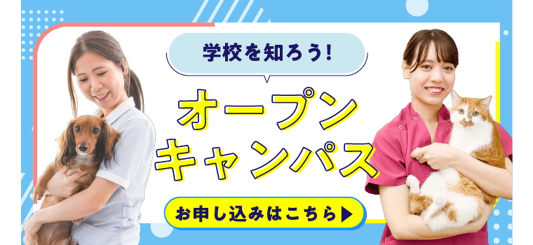 愛玩動物看護学科の特徴 | 専門学校 名古屋スクール・オブ・ビジネス