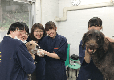 名古屋ビジネス・アカデミーでは犬を飼っていません。
