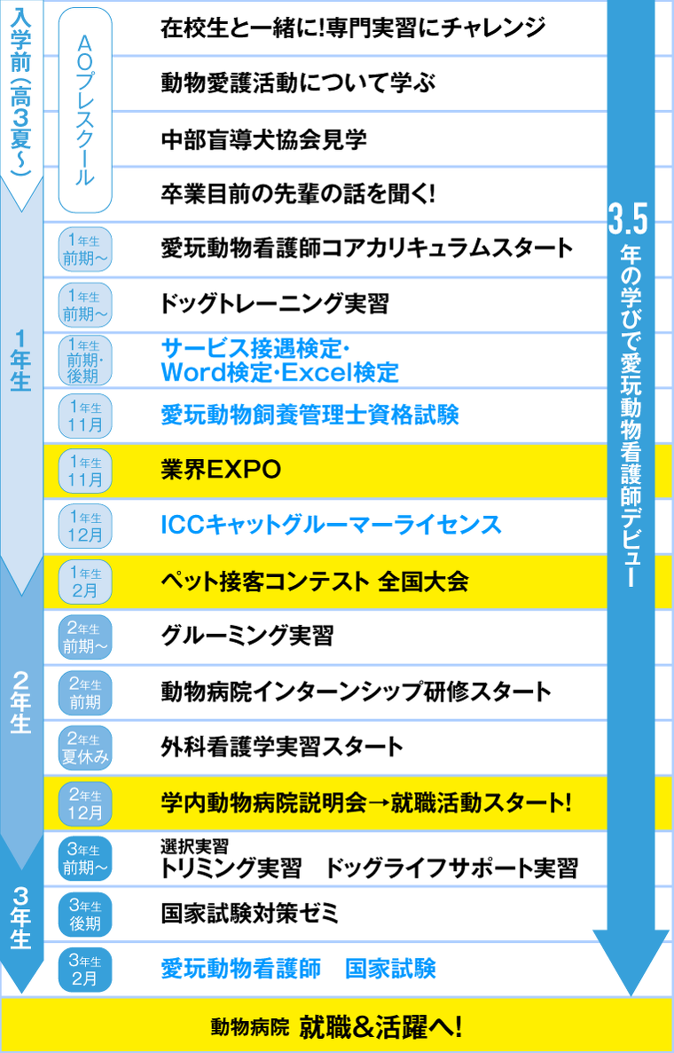 愛玩動物看護学科のスケジュール