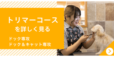 トリマーコース