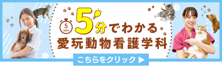 就職率100％