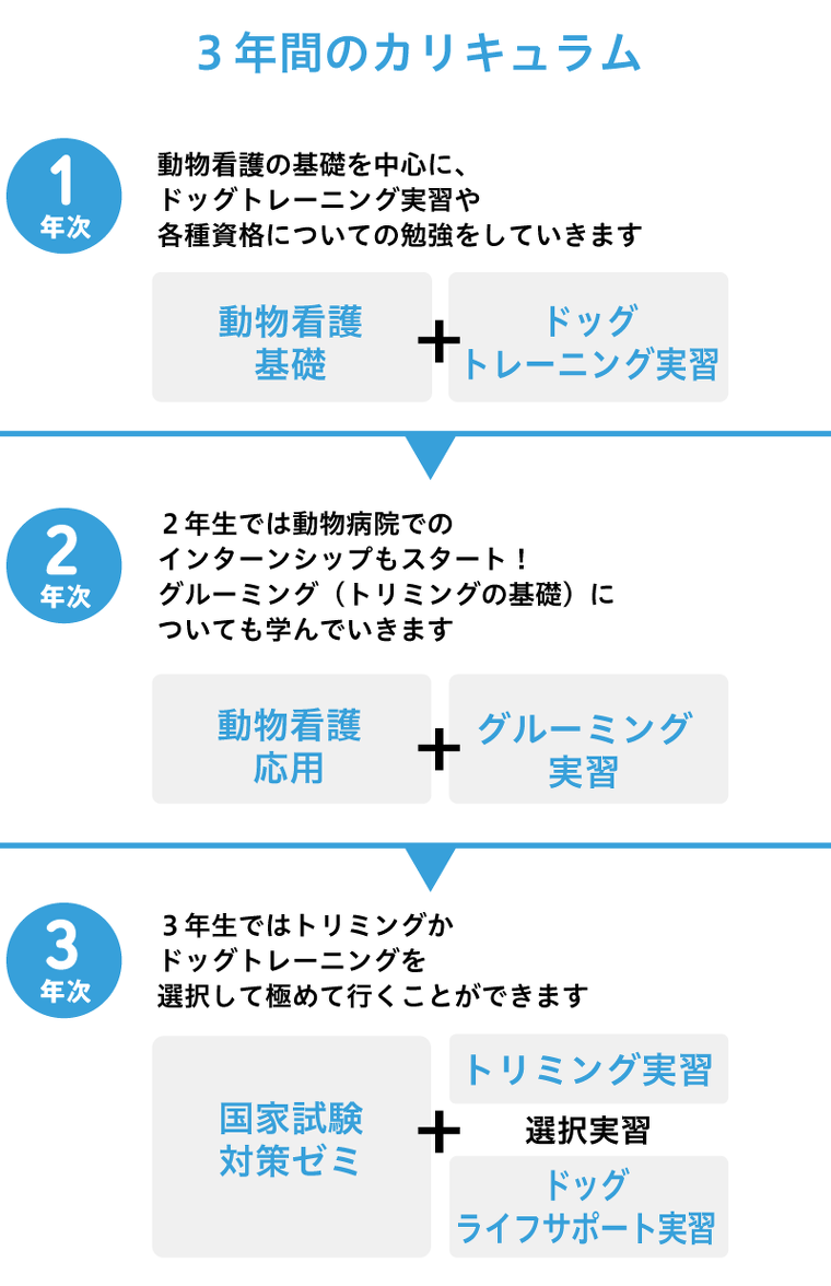 愛玩動物看護学科スケジュール