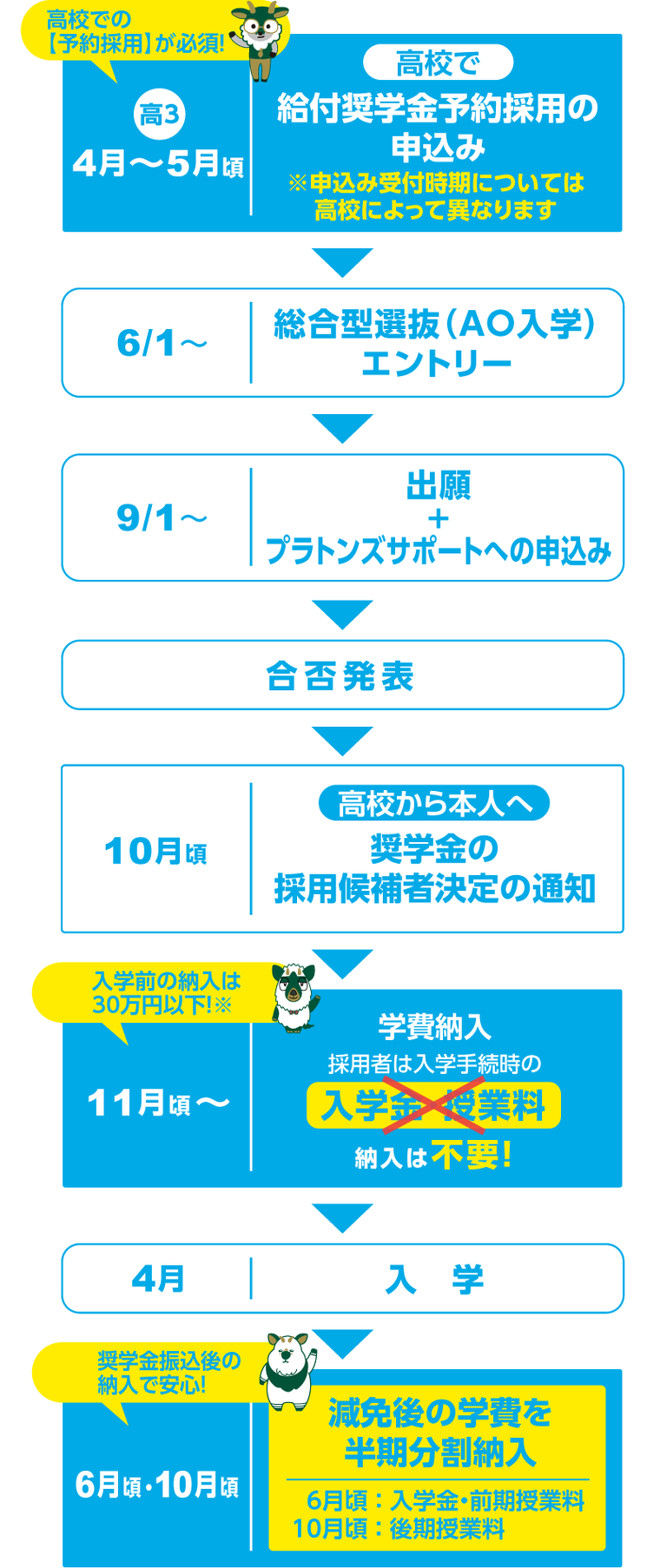 プラトンズサポート活用スケジュール