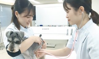 はじめてでも大丈夫！　動物看護師のおシゴト体験