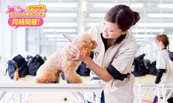 はじめてでも大丈夫！　トリマーのおシゴト体験