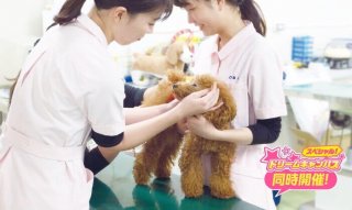 日頃の観察が長生きにつながる！健康チェック体験