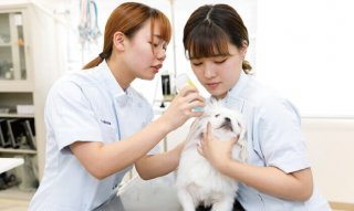 爪切りやお手入れのコツを伝授！ワンちゃんのトータルケア体験