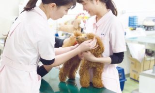 日頃の観察が長生きにつながる！健康チェック体験