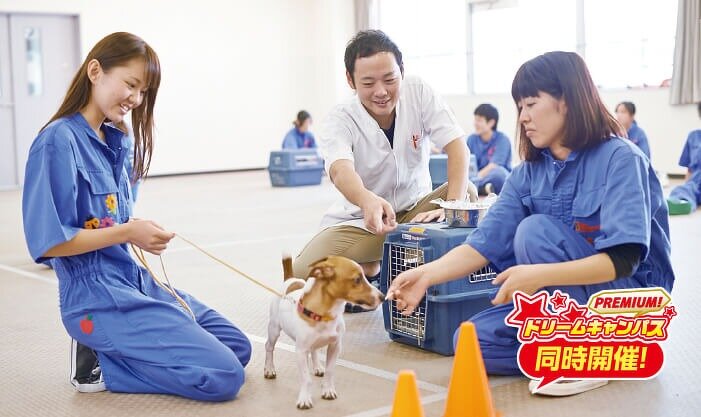 トレーニング基礎を学ぼう！オビディエンストレーニング体験