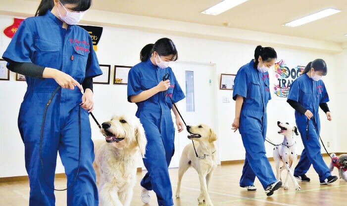 トレーニング基礎を学ぼう！オビディエンストレーニング体験