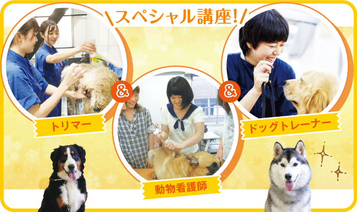 基礎からチャレンジ！ワンちゃんのトリミング体験
