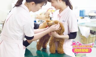 日頃の観察が長生きにつながる！健康チェック体験