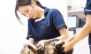 はじめてでも大丈夫！　動物看護師のおシゴト体験