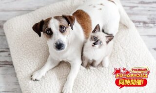 日頃の観察が長生きにつながる！健康チェック体験