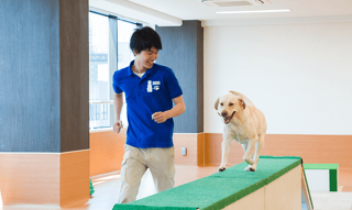 はじめてでも大丈夫！　ドッグトレーナーのおシゴト体験