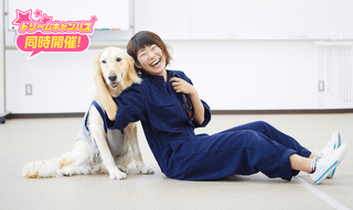 大型犬のトレーニング体験