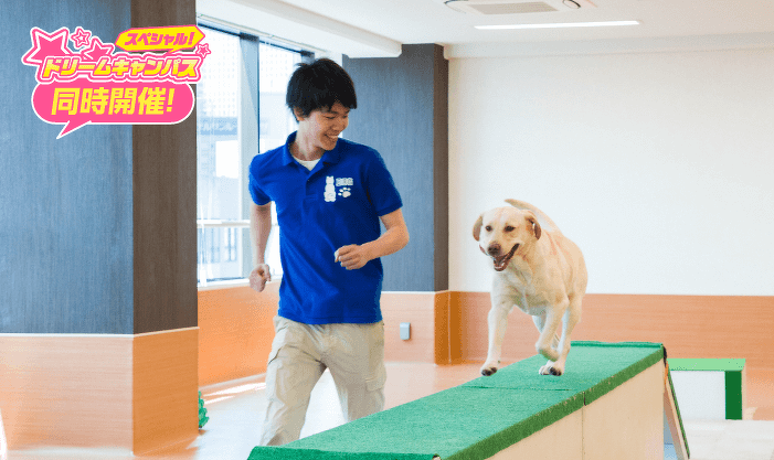 はじめてでも大丈夫! ドッグトレーナーのおシゴト体験