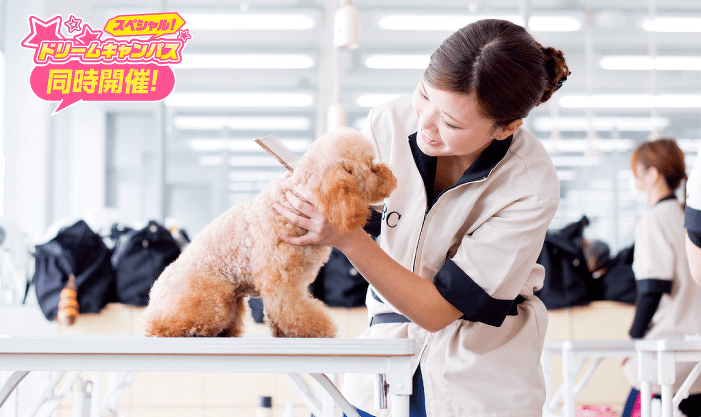 はじめてでも大丈夫! トリマーのおシゴト体験