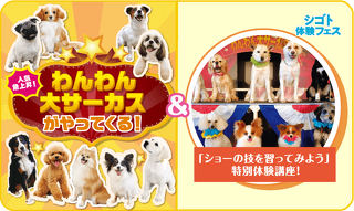 「ショーの技を習ってみよう」 特別体験講座！