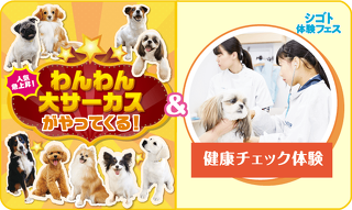 おうちのワンちゃんにも！ 健康チェック体験