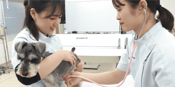 おうちのワンちゃんにも！健康チェック体験