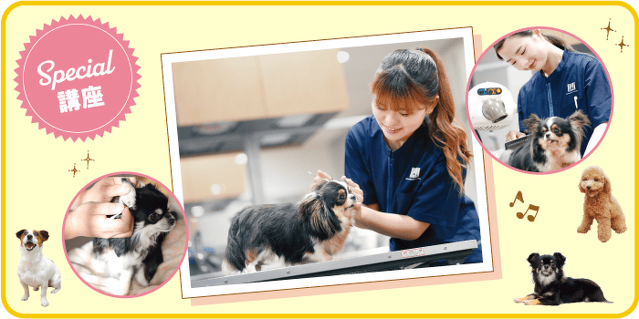 トリマー気分♡ワンちゃんのお手入れ体験