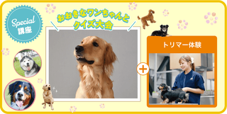 大きなワンちゃんとクイズ大会＋トリマー体験