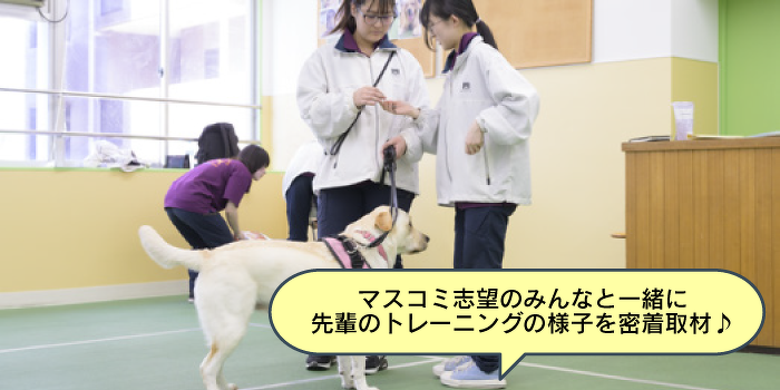 特集！先輩のドッグトレーニングに密着♪