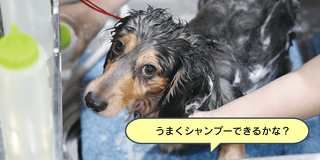 基礎を学ぼうシャンプー体験