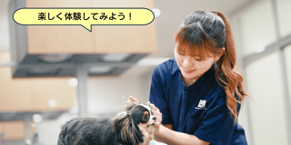 おうちでもできる★ワンちゃんのお手入れ体験