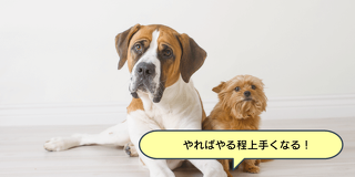 爪切り、耳そうじ、目薬etc...トータルケア体験