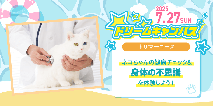 ドリームキャンパス