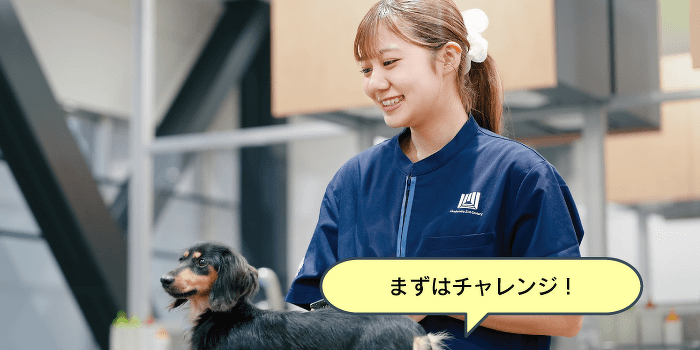 はじめてでも大丈夫!トリマーのおシゴト体験