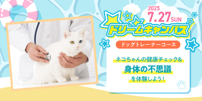 ドリームキャンパス
