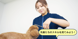 先輩と一緒に！ワンちゃんのトリミング体験