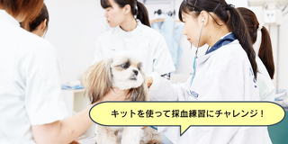 現役獣医さんと一緒に！血液検査について学ぼう
