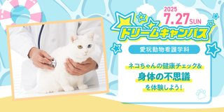 ドリームキャンパス