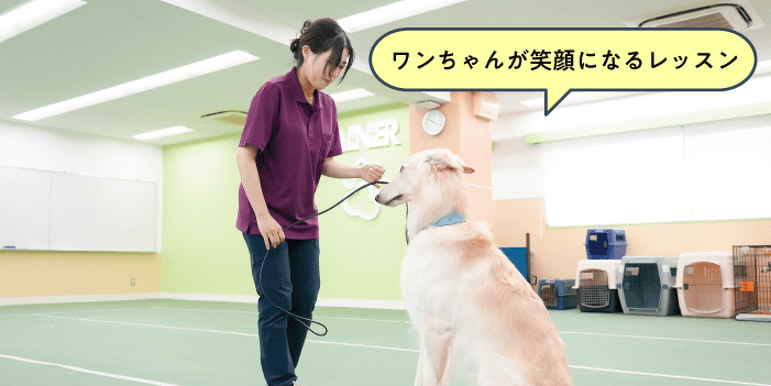 犬のトレーニングの第一歩！犬との信頼関係の結び方