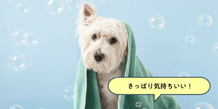 ふわふわ仕上がりを目指そう！プチエステ体験