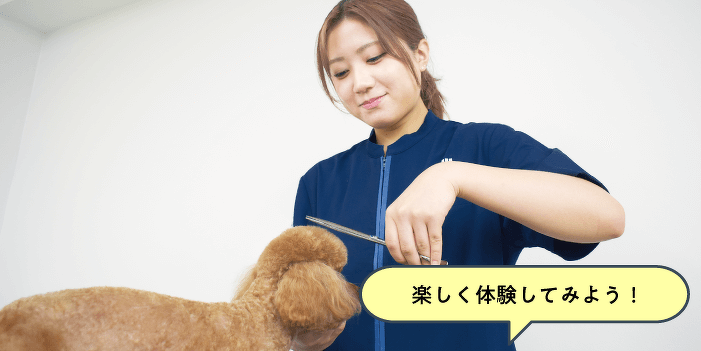 なりたい夢の第一歩！トリミング体験
